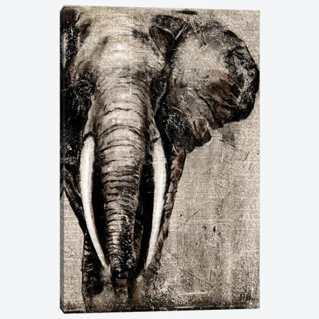 Elephant on Newspaper Canvas Print #PPI116} by Patricia Pinto Art Print