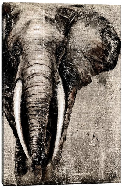 Elephant on Newspaper Canvas Art Print - Elephant Art