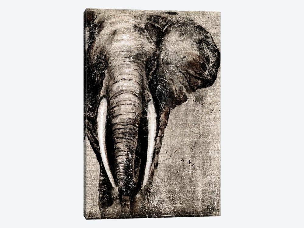 Elephant on Newspaper by Patricia Pinto 1-piece Canvas Print