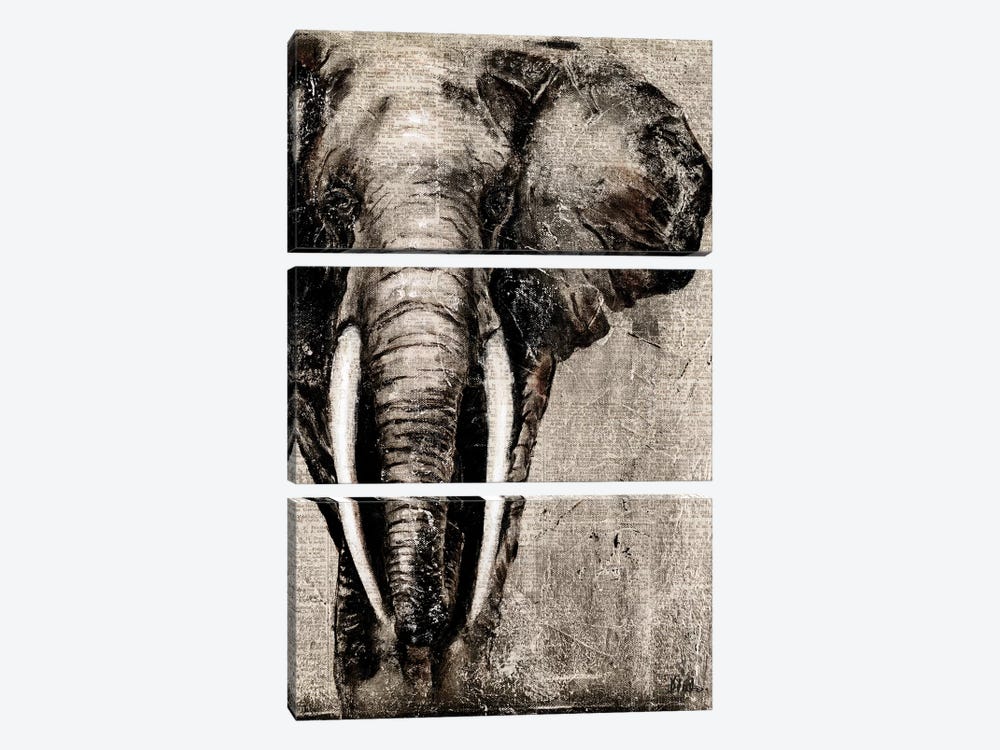 Elephant on Newspaper by Patricia Pinto 3-piece Art Print