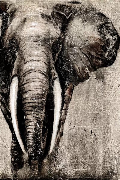 Elephants: Elephant on Newspaper by Patricia Pinto