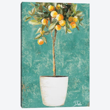 Essential Compliment I Canvas Print #PPI117} by Patricia Pinto Art Print