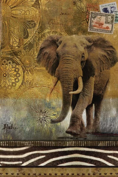 Elephants: Expedition I by Patricia Pinto