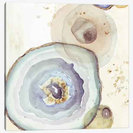 Agates Flying Square I Canvas Print #PPI11} by Patricia Pinto Canvas Artwork