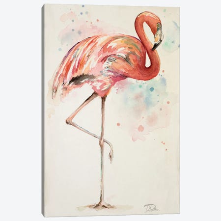 Flamingo II Canvas Print #PPI128} by Patricia Pinto Art Print