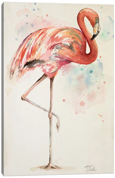 Flamingo II Canvas Art Print - Patricia Pinto