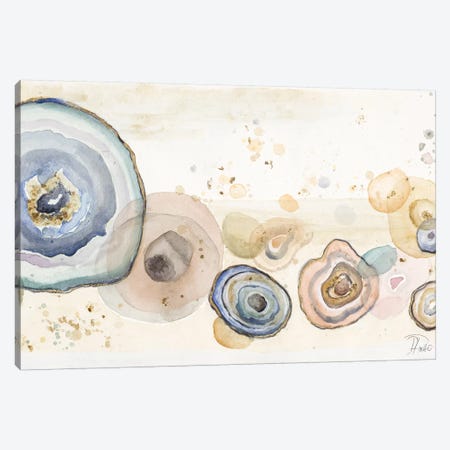Agates Flying Watercolor Canvas Print #PPI12} by Patricia Pinto Canvas Art