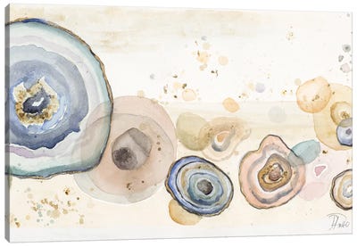 Agates Flying Watercolor Canvas Art Print - Patricia Pinto
