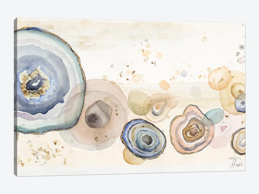 Agates Flying Watercolor by Patricia Pinto 1-piece Canvas Print