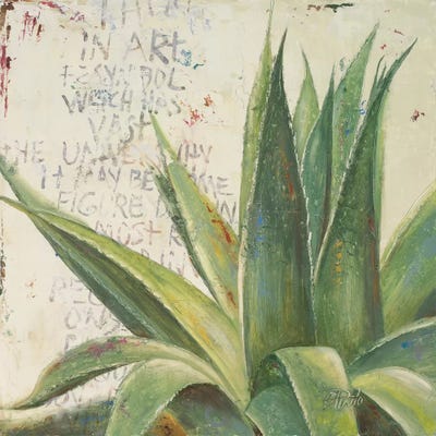 Aloe I by Patricia Pinto multi panel art