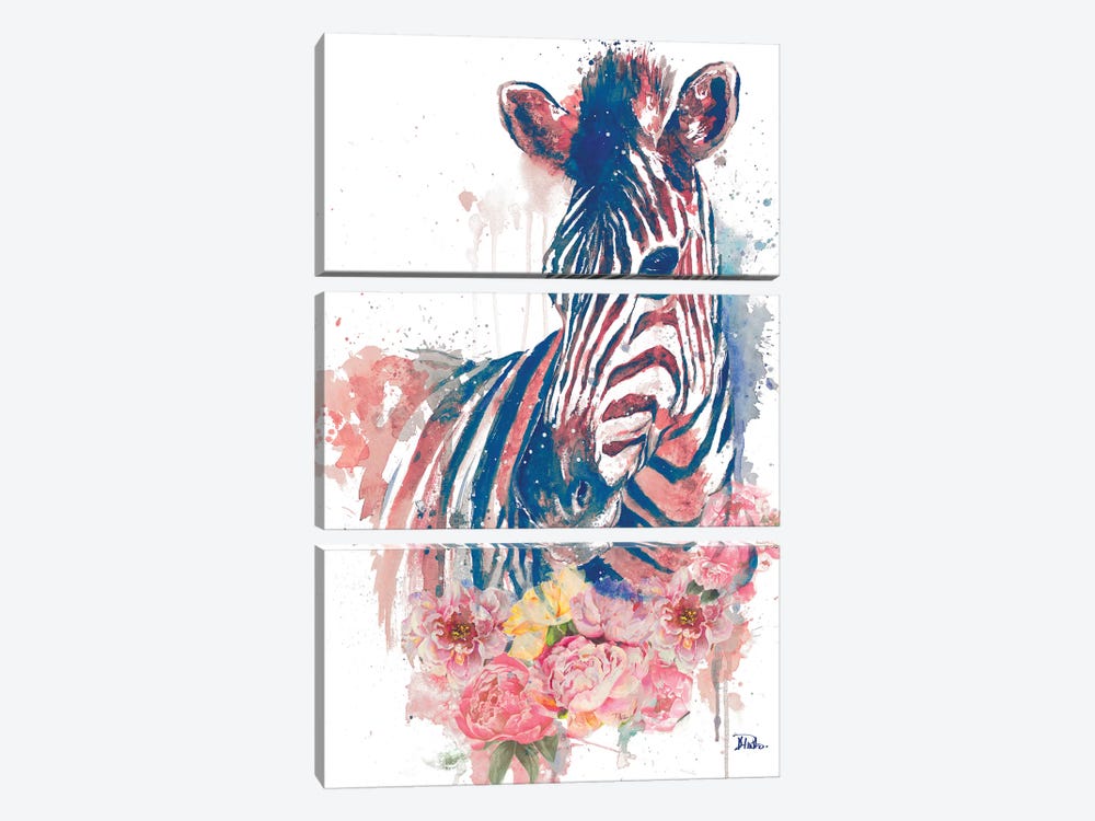 Floral Watercolor Zebra by Patricia Pinto 3-piece Canvas Print
