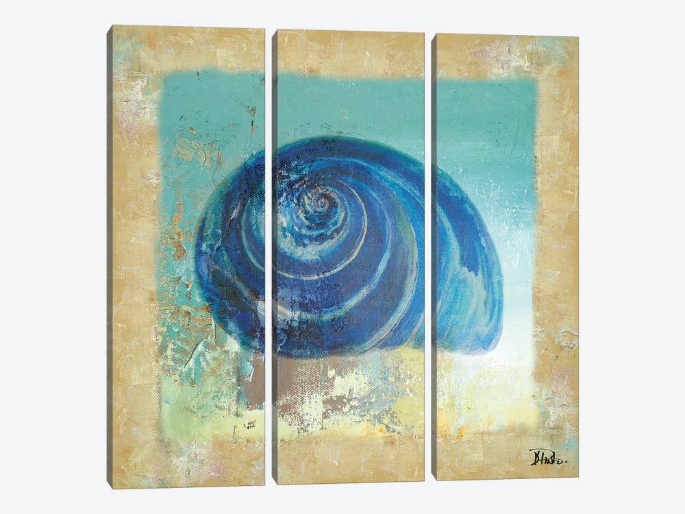 Fusion of the Sea II by Patricia Pinto 3-piece Canvas Wall Art