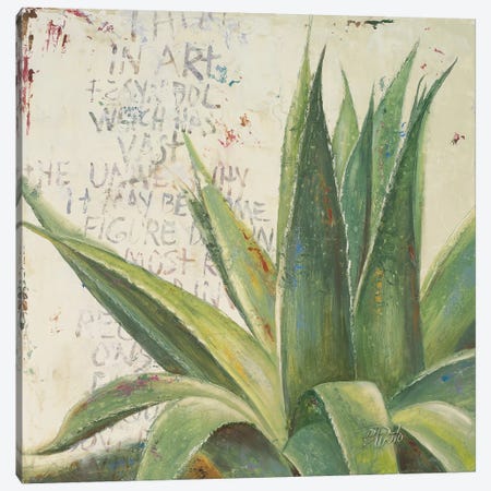 Aloe I Canvas Print #PPI13} by Patricia Pinto Canvas Artwork