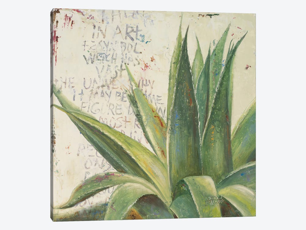 Aloe I by Patricia Pinto 1-piece Canvas Artwork