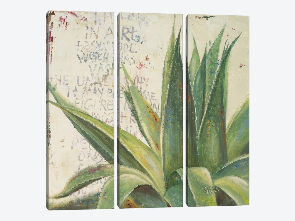 Aloe I by Patricia Pinto 3-piece Canvas Wall Art