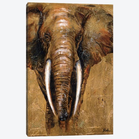 Gold Elephant Canvas Print #PPI145} by Patricia Pinto Canvas Art