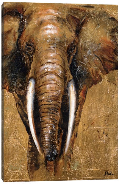 Gold Elephant Canvas Art Print - Elephant Art