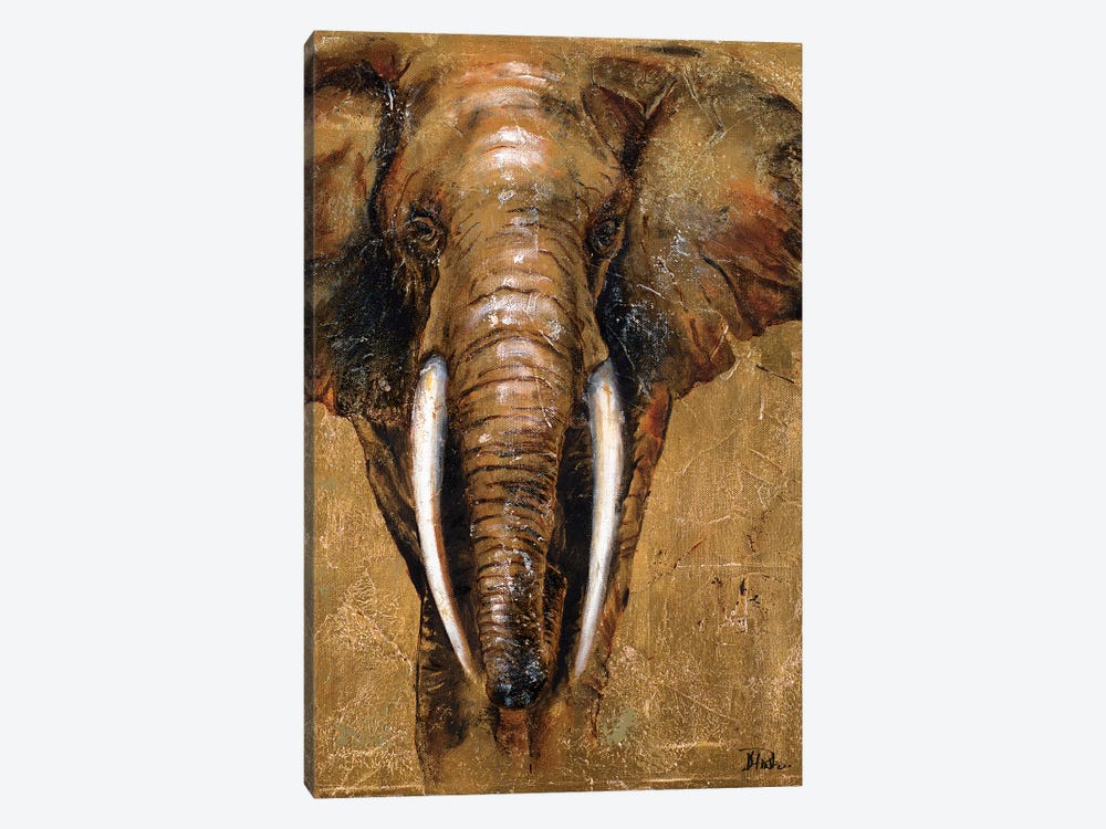 Gold Elephant by Patricia Pinto 1-piece Art Print