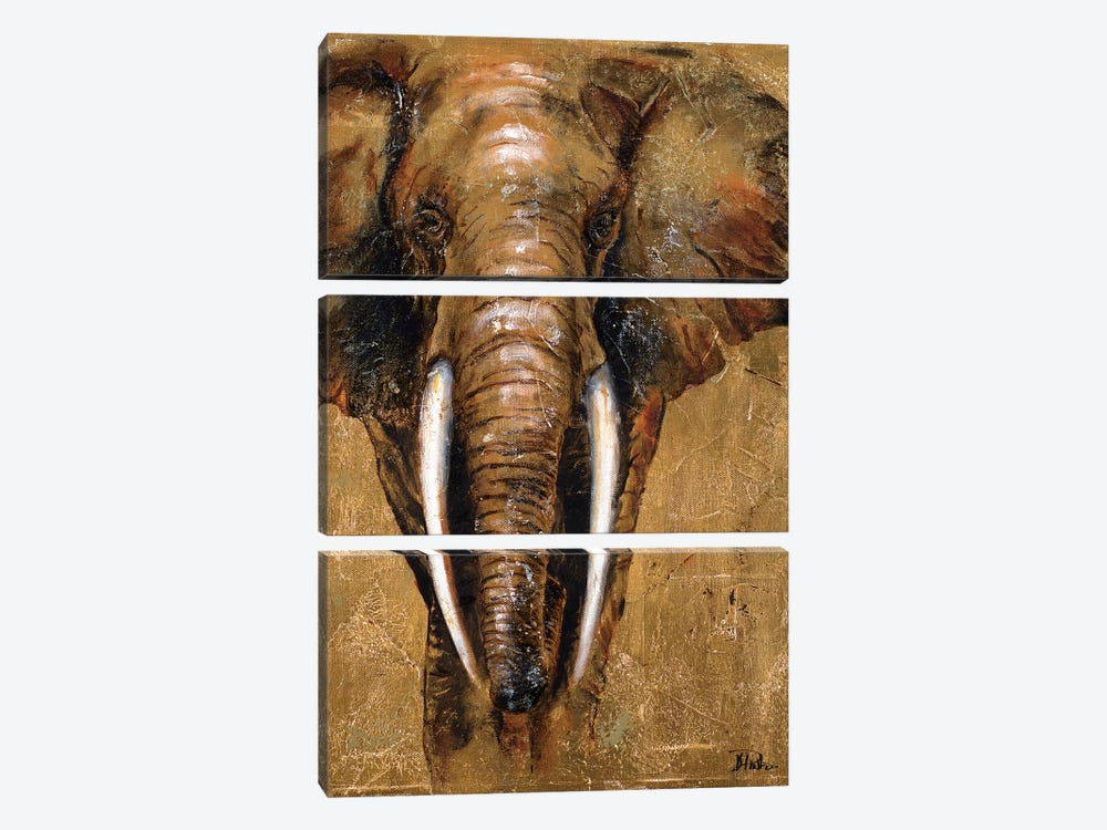 Gold Elephant by Patricia Pinto 3-piece Canvas Art Print