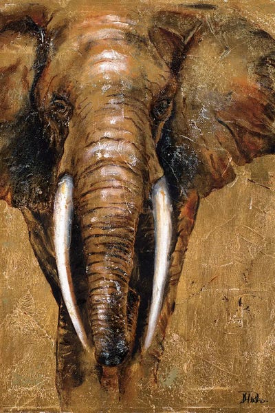 Elephants: Gold Elephant by Patricia Pinto