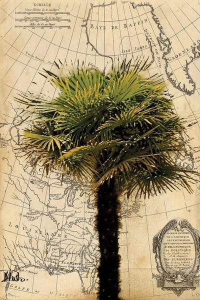 America I by Patricia Pinto canvas print