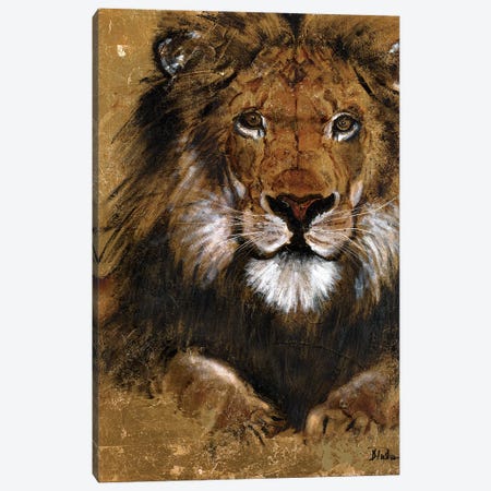 Gold Lion Canvas Print #PPI150} by Patricia Pinto Canvas Wall Art