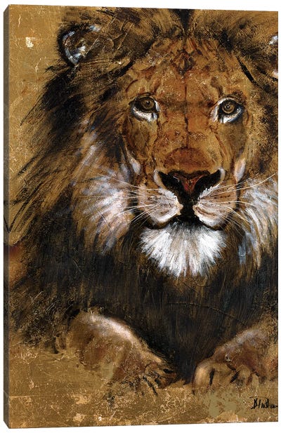 Gold Lion Canvas Art Print - Patricia Pinto