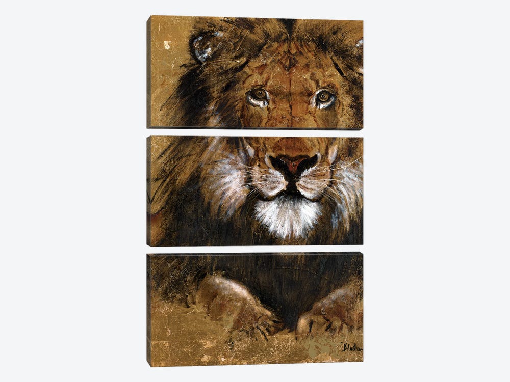 Gold Lion by Patricia Pinto 3-piece Canvas Print