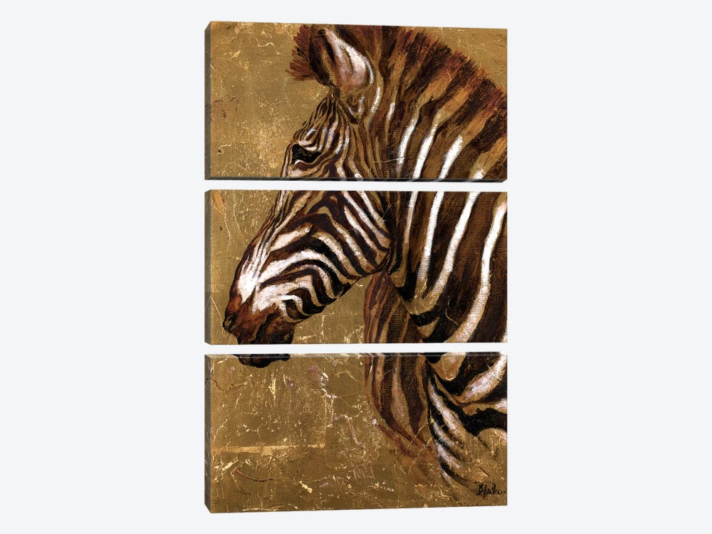 Gold Zebra by Patricia Pinto 3-piece Canvas Artwork