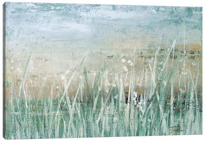 Clouds and Grass - 6 x 6 Canvas - Original Art – Annazach Art