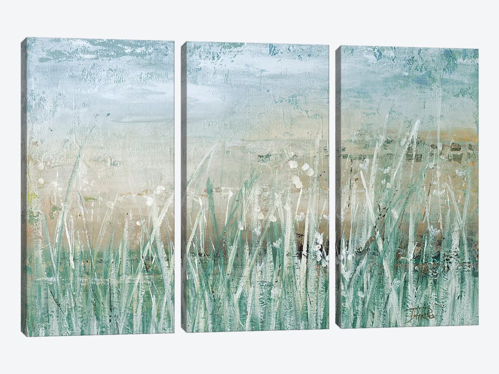 Grass Memories by Patricia Pinto 3-piece Canvas Print