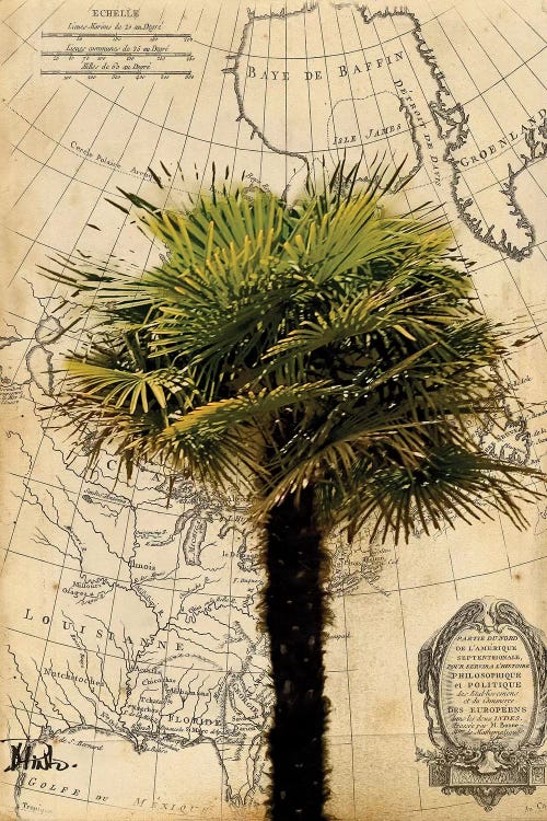 America I by Patricia Pinto wall art