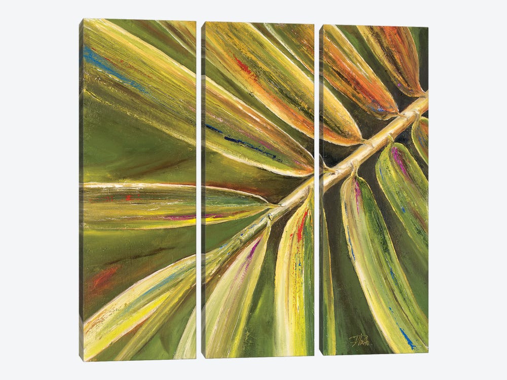 Green Close Up II by Patricia Pinto 3-piece Canvas Art