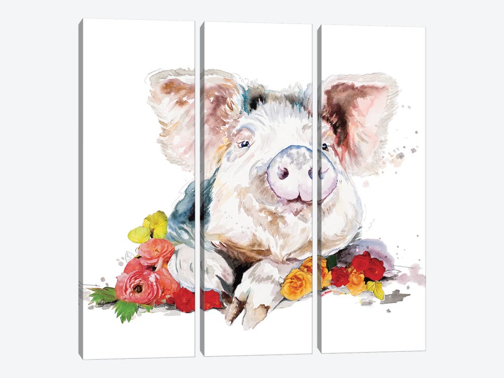 Happy Little Pig by Patricia Pinto 3-piece Canvas Wall Art