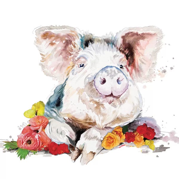Pigs: Happy Little Pig Portrait by Patricia Pinto