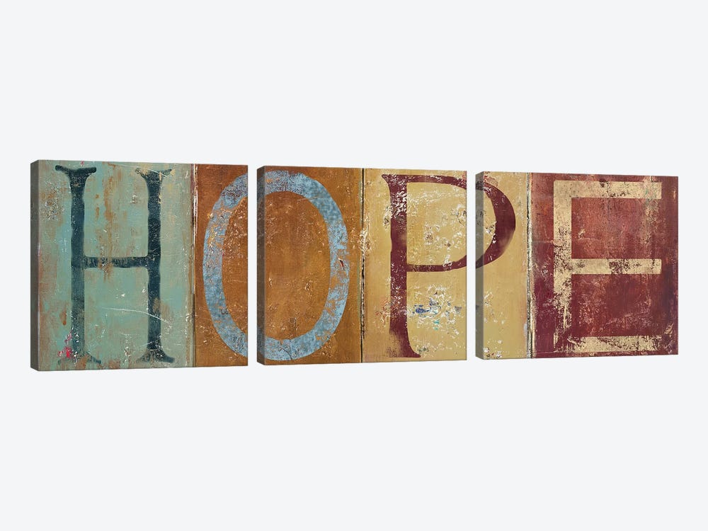 HOPE by Patricia Pinto 3-piece Art Print