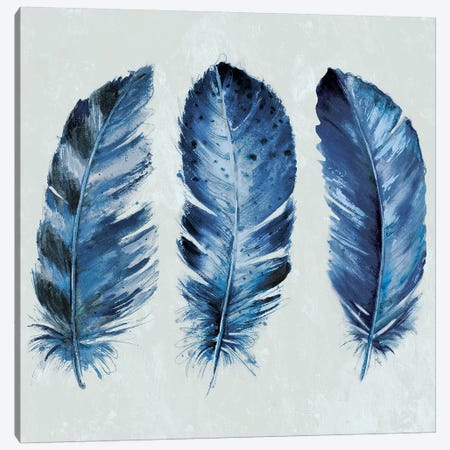 Indigo Blue Feathers II Canvas Print #PPI174} by Patricia Pinto Art Print