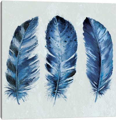 Indigo Blue Feathers II Canvas Art Print - Feather Art