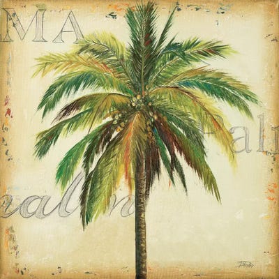 La Palma I by Patricia Pinto canvas print