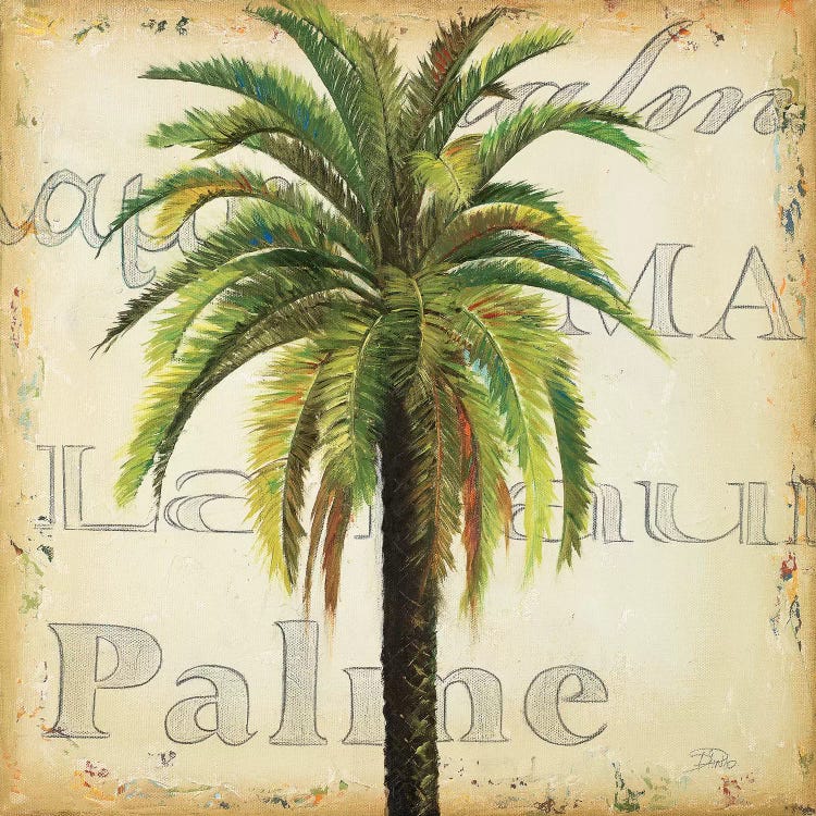 La Palma III by Patricia Pinto wall art