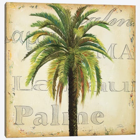 La Palma III Canvas Print #PPI177} by Patricia Pinto Canvas Print