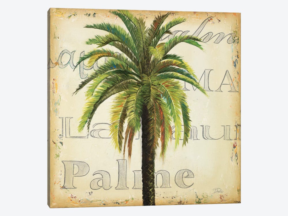 La Palma III by Patricia Pinto 1-piece Canvas Art