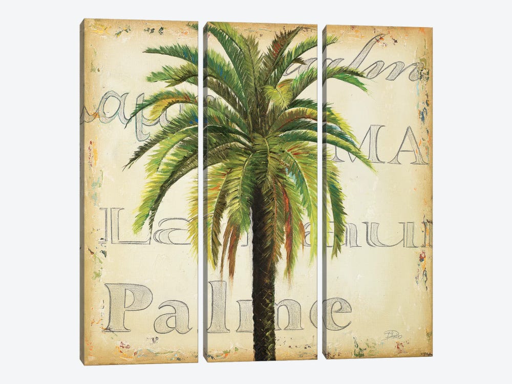 La Palma III by Patricia Pinto 3-piece Canvas Artwork