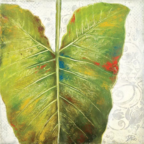 Patricia Pinto: Mafafa I by Patricia Pinto