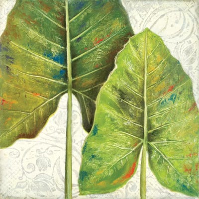 Mafafa II by Patricia Pinto canvas print