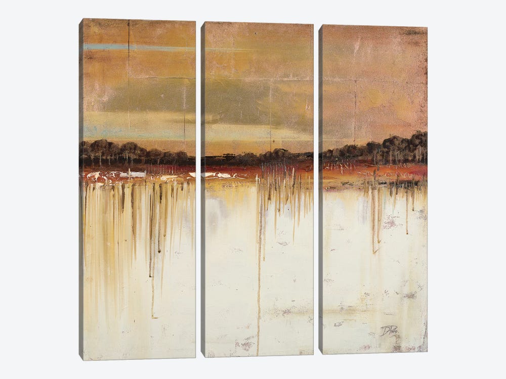 Melting Gold by Patricia Pinto 3-piece Canvas Artwork
