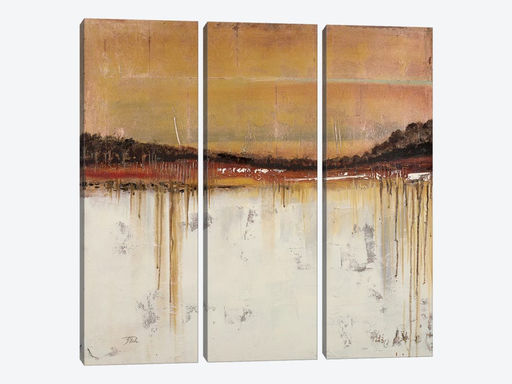 Melting Gold II by Patricia Pinto 3-piece Canvas Art Print