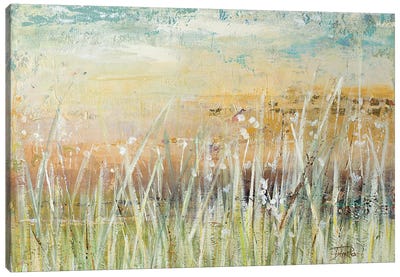 Muted Grass Canvas Art Print - Abstract Landscapes Art
