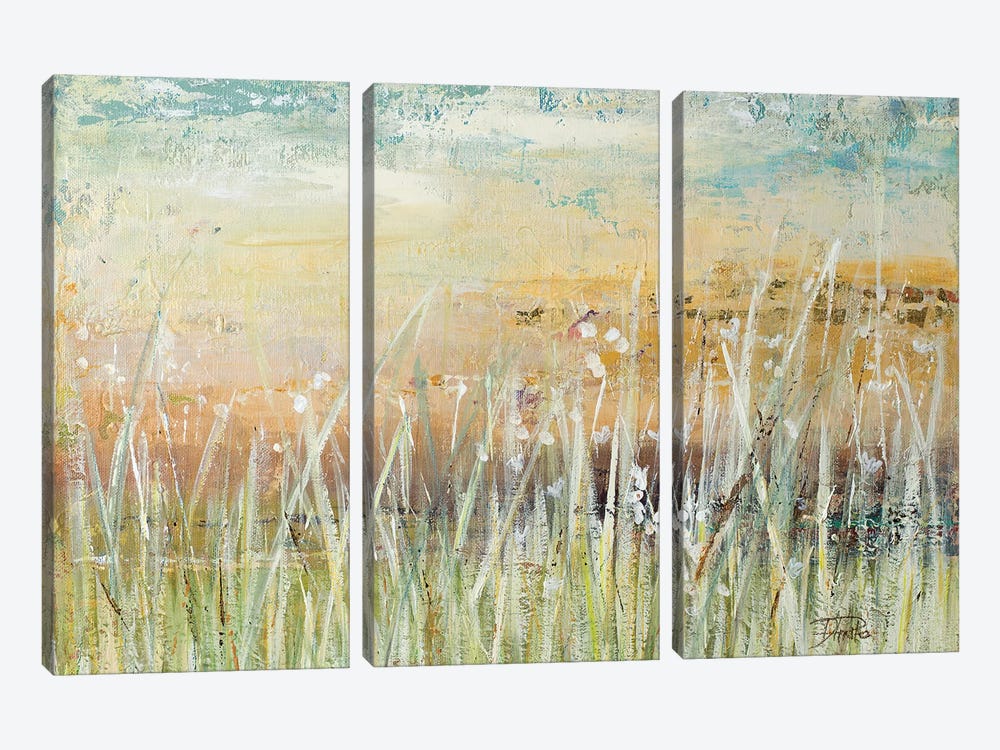 Muted Grass by Patricia Pinto 3-piece Canvas Print