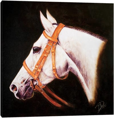My Horse Canvas Art Print - Horseback Art